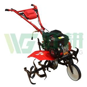 Chongqing Benzin angetriebene kleine Tiller, um Boden im Garten zu lösen
